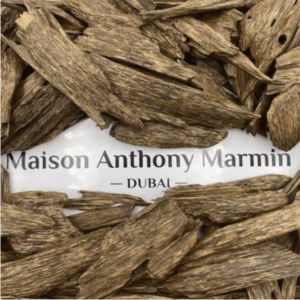 Agarwood Pahang Malaysia