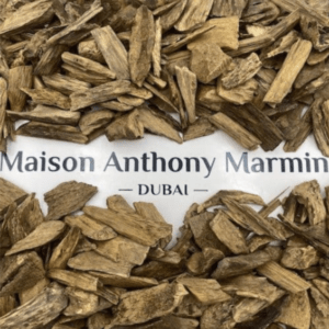 Agarwood Silani Sri Lanka