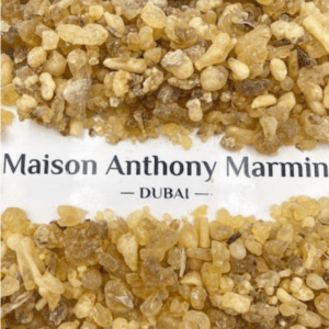 Luban from Oman Classic